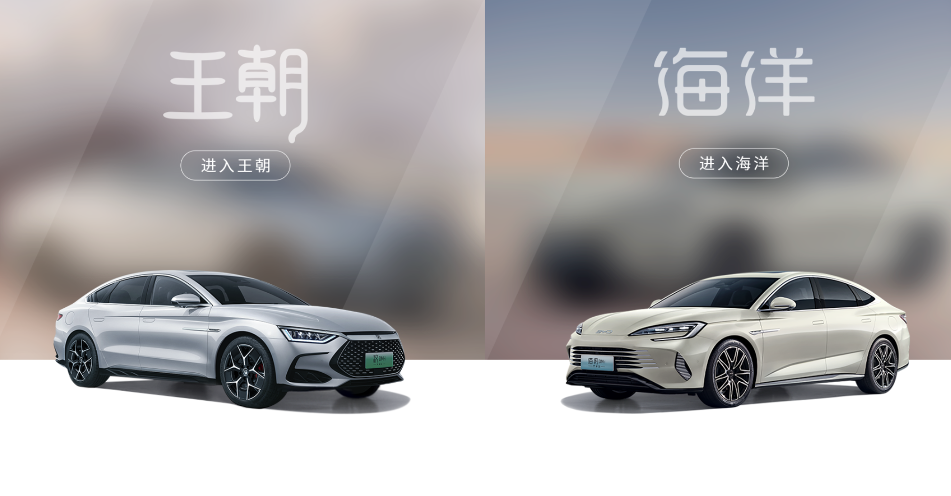 王朝车业